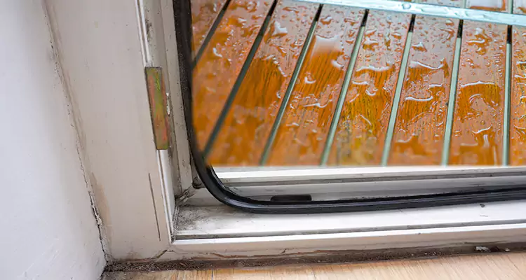 Water Leaking Wooden Patio Doors Repair in Titusville, FL