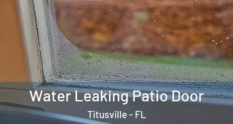 Water Leaking Patio Door Titusville - FL